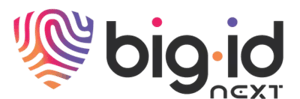 BigID-next-1