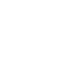 everton 3