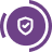 icon-shield-compliance 1