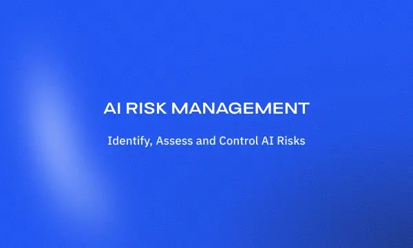 ai-risk-management