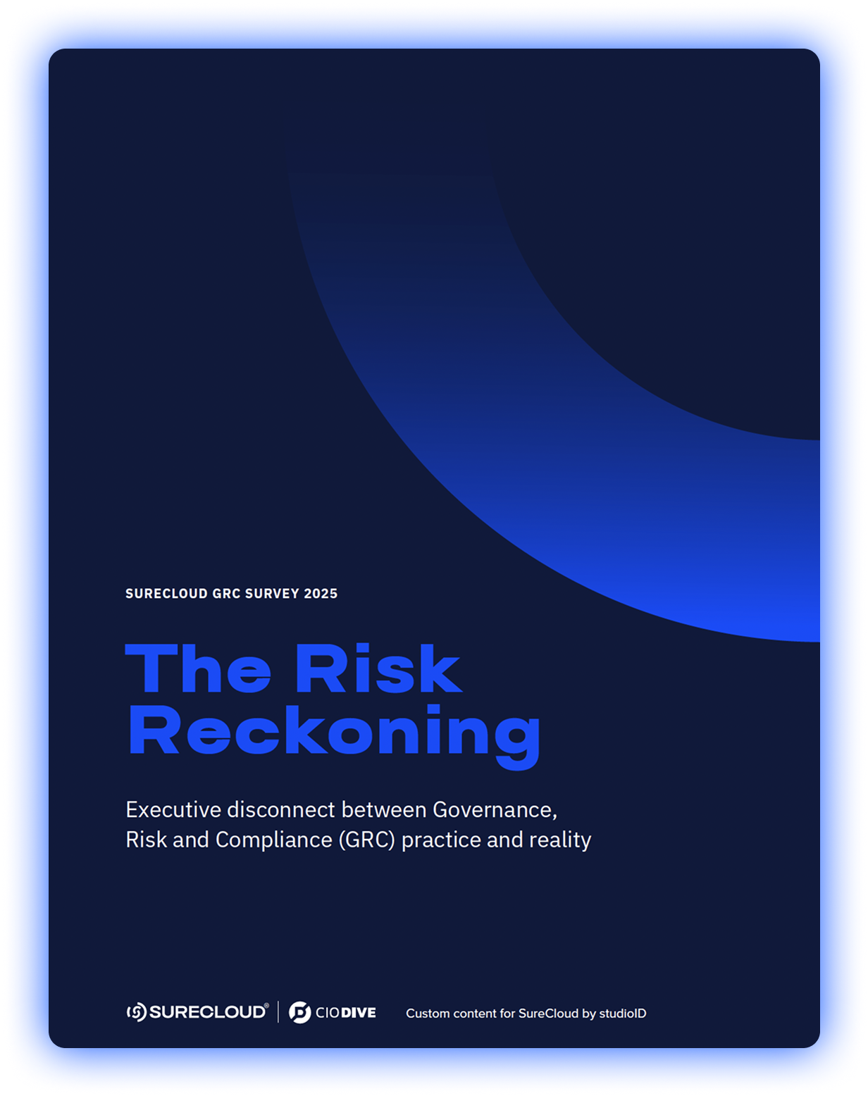 Risk reckoning reportcover